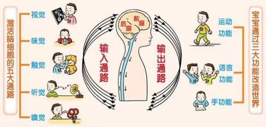 感統(tǒng)失調(diào)是個什么鬼？